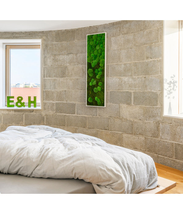  StyleGREEN Bild Aus Wald- Und Kugelmoos Im Verlauf, Ca. B140/H40/T7 Cm