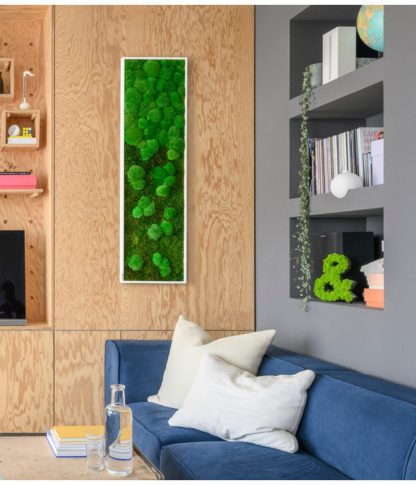  StyleGREEN Bild Aus Wald- Und Kugelmoos Im Verlauf, Ca. B140/H40/T7 Cm