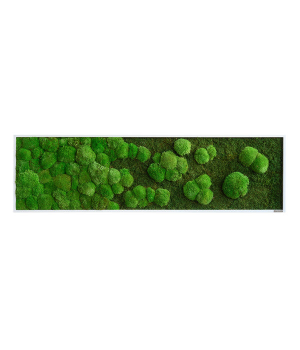 StyleGREEN Bild Aus Wald- Und Kugelmoos Im Verlauf, Ca. B140/H40/T7 Cm