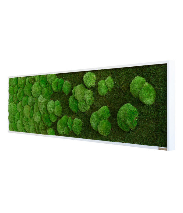  StyleGREEN Bild Aus Wald- Und Kugelmoos Im Verlauf, Ca. B140/H40/T7 Cm