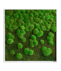  StyleGREEN Bild Aus Wald- Und Kugelmoos Im Verlauf, Ca. B80/H80/T7 Cm