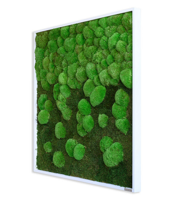  StyleGREEN Bild Aus Wald- Und Kugelmoos Im Verlauf, Ca. B80/H80/T7 Cm