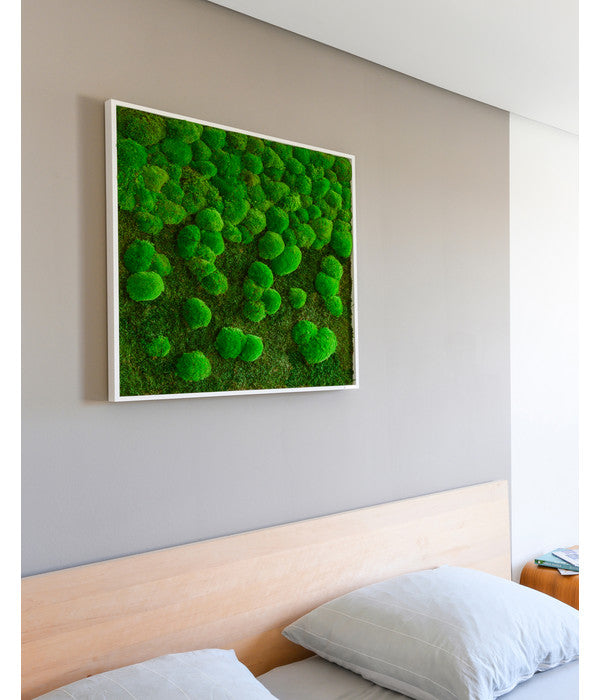  StyleGREEN Bild Aus Wald- Und Kugelmoos Im Verlauf, Ca. B80/H80/T7 Cm