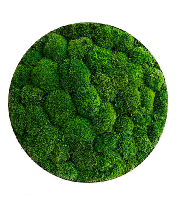  StyleGREEN Bild Aus Kugelmoos, Ellipsoid, Ca. Ø54 Cm