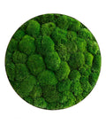  StyleGREEN Bild Aus Kugelmoos, Ellipsoid, Ca. Ø54 Cm