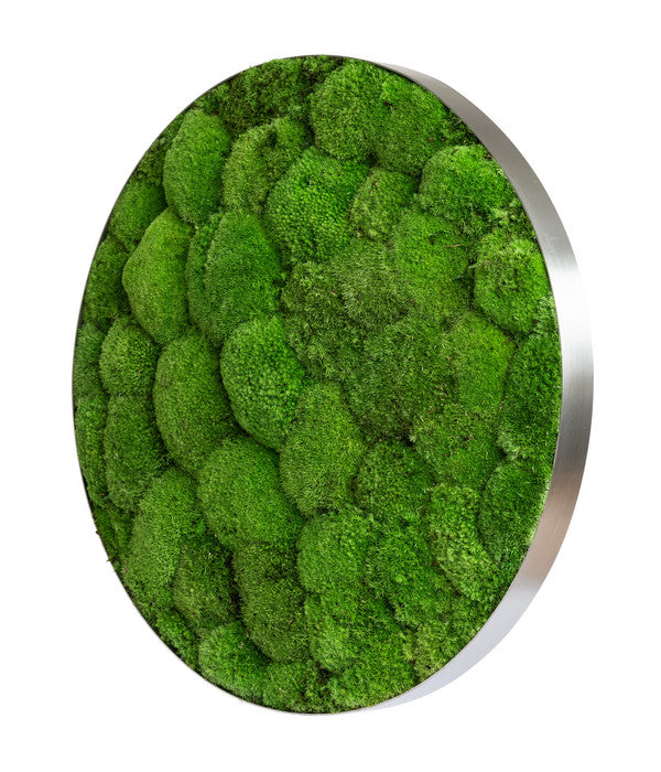  StyleGREEN Bild Aus Kugelmoos, Ellipsoid, Ca. Ø54 Cm