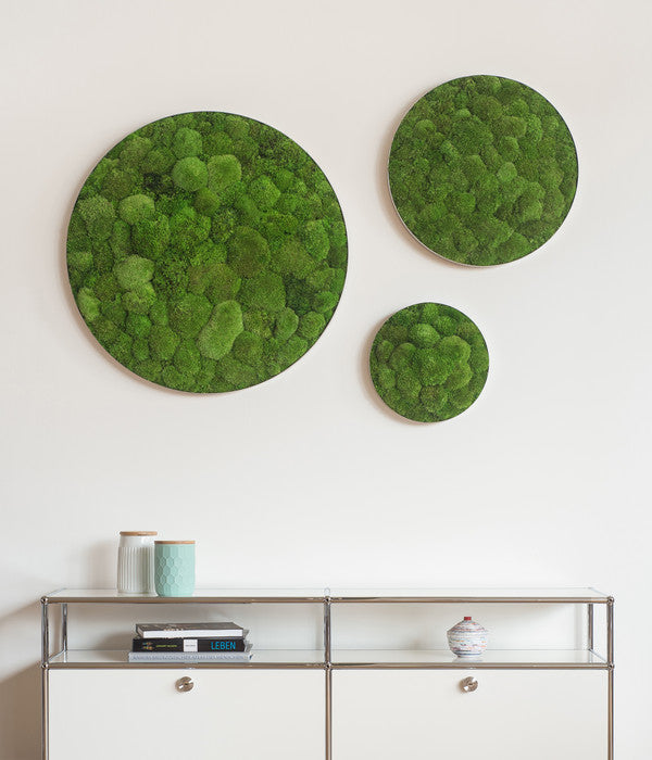  StyleGREEN Bild Aus Kugelmoos, Ellipsoid, Ca. Ø54 Cm