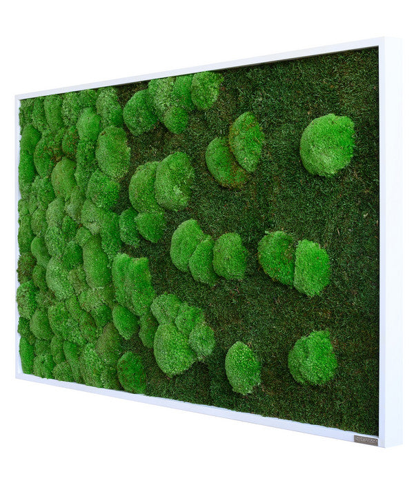  StyleGREEN Bild Aus Wald- Und Kugelmoos Im Verlauf, Ca. B100/H60/T7 Cm