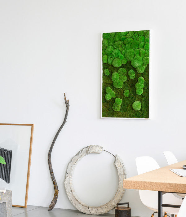  StyleGREEN Bild Aus Wald- Und Kugelmoos Im Verlauf, Ca. B100/H60/T7 Cm