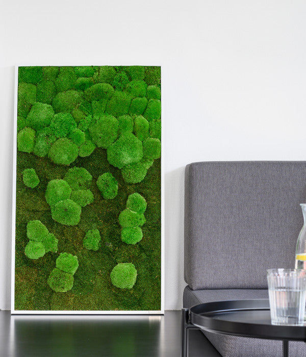  StyleGREEN Bild Aus Wald- Und Kugelmoos Im Verlauf, Ca. B100/H60/T7 Cm