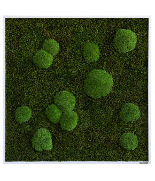  StyleGREEN Bild Aus Wald- Und Kugelmoos, Quadratisch, Ca. B80/H80/T7 Cm