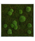 StyleGREEN Bild Aus Wald- Und Kugelmoos, Quadratisch, Ca. B80/H80/T7 Cm