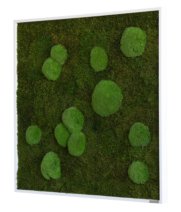  StyleGREEN Bild Aus Wald- Und Kugelmoos, Quadratisch, Ca. B80/H80/T7 Cm
