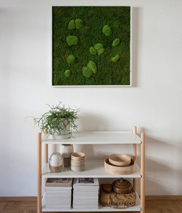  StyleGREEN Bild Aus Wald- Und Kugelmoos, Quadratisch, Ca. B80/H80/T7 Cm