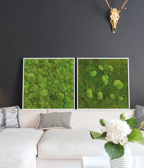  StyleGREEN Bild Aus Wald- Und Kugelmoos, Quadratisch, Ca. B80/H80/T7 Cm