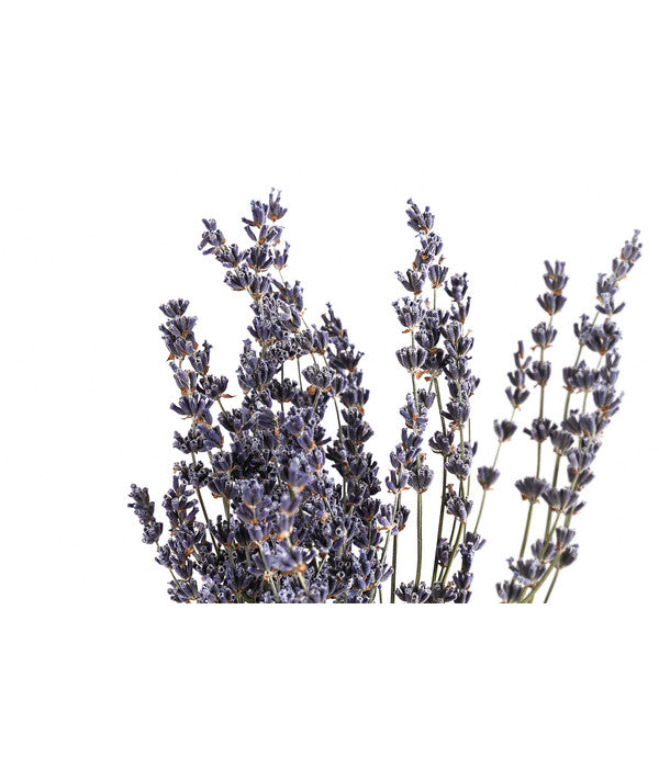  Trockenblumenbund Lavendel