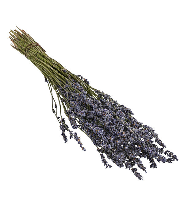  Trockenblumenbund Lavendel