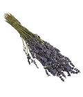  Trockenblumenbund Lavendel