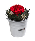  Dehner Arrangement Mit Longlife-Rose Ida, Rot, Ca. Ø7,5/H15 Cm