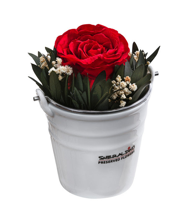  Dehner Arrangement Mit Longlife-Rose Ida, Rot, Ca. Ø7,5/H15 Cm