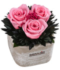  Dehner Arrangement Mit Longlife-Rose Ina Light, Rosa, Ca. B8/H10/T8 Cm