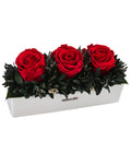  Dehner Keramik-Jardiniere Mit Longlife-Rose Elen, Rot, Ca. B23/H11/T7 Cm