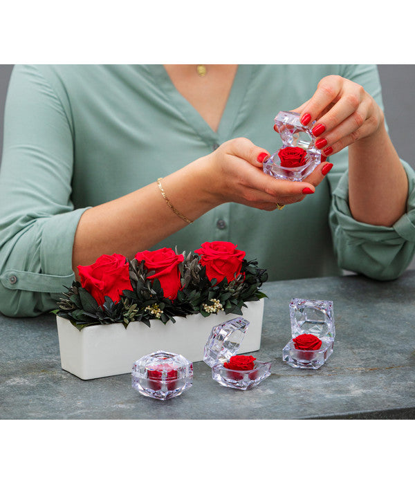  Dehner Keramik-Jardiniere Mit Longlife-Rose Elen, Rot, Ca. B23/H11/T7 Cm