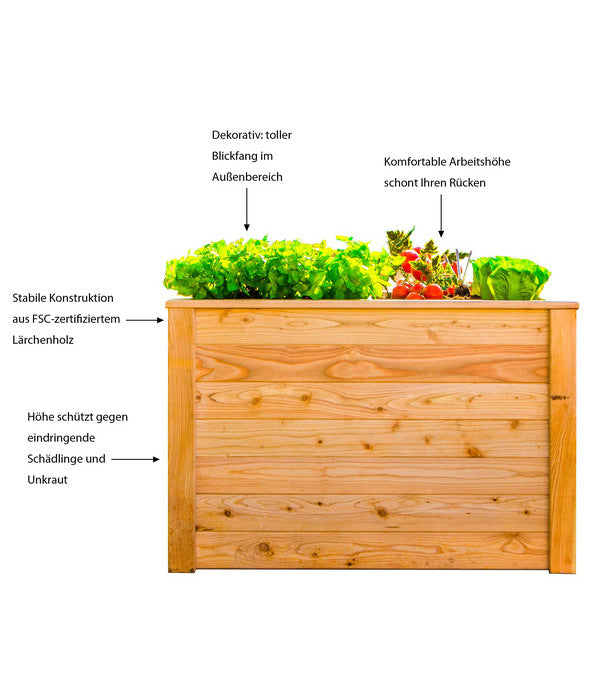 Westmann Hochbeet Lärche