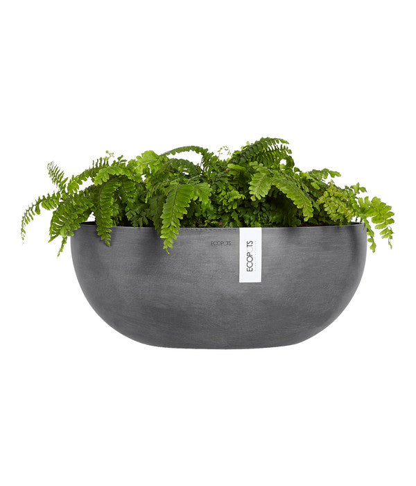  Ecopots Kunststoff-Schale Sofia Wall Mit Wassersystem, Oval, Grau, Ca. B43/H17,5/T25 Cm