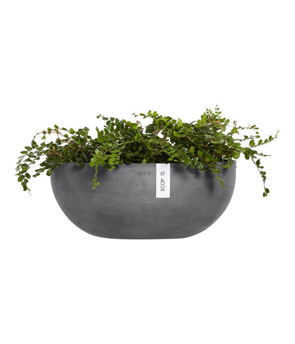  Ecopots Kunststoff-Schale Sofia Wall Mit Wassersystem, Oval, Grau, Ca. B43/H17,5/T25 Cm