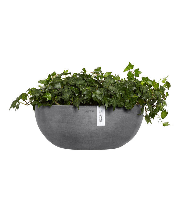  Ecopots Kunststoff-Schale Sofia Wall Mit Wassersystem, Oval, Grau, Ca. B43/H17,5/T25 Cm