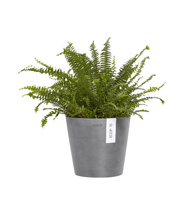  Ecopots Kunststoff-Topf Amsterdam Wall, Rund, Grau, Ca. Ø21,8/H17,5 Cm