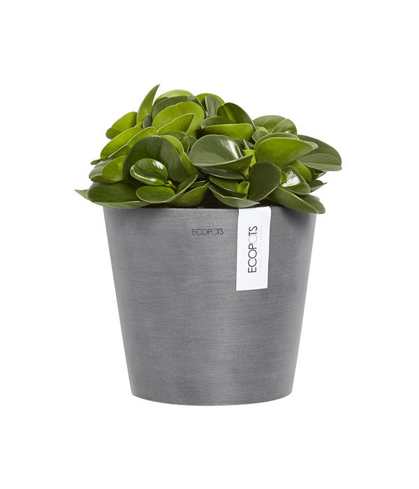  Ecopots Kunststoff-Topf Amsterdam Wall, Rund, Grau, Ca. Ø21,8/H17,5 Cm