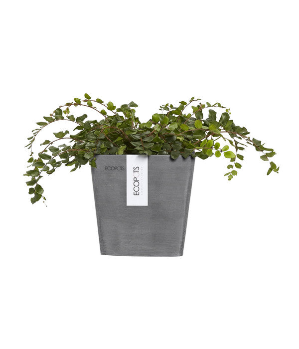  Ecopots Kunststoff-Kasten Manhattan Mit Wassersystem, Grau