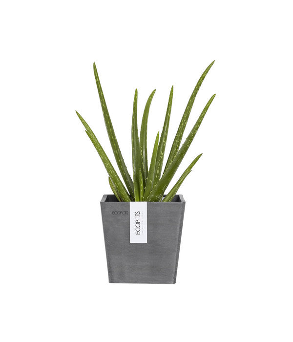  Ecopots Kunststoff-Kasten Manhattan Mit Wassersystem, Grau