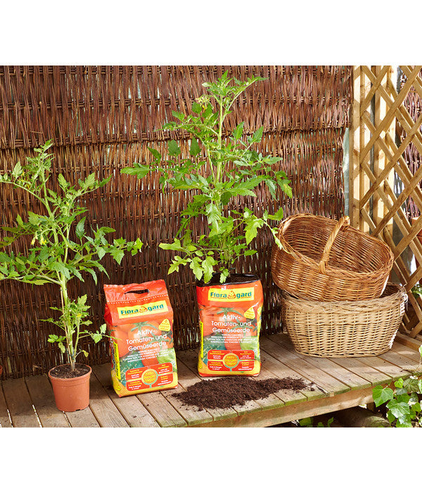  Floragard Aktiv Tomaten- Und Gemüseerde