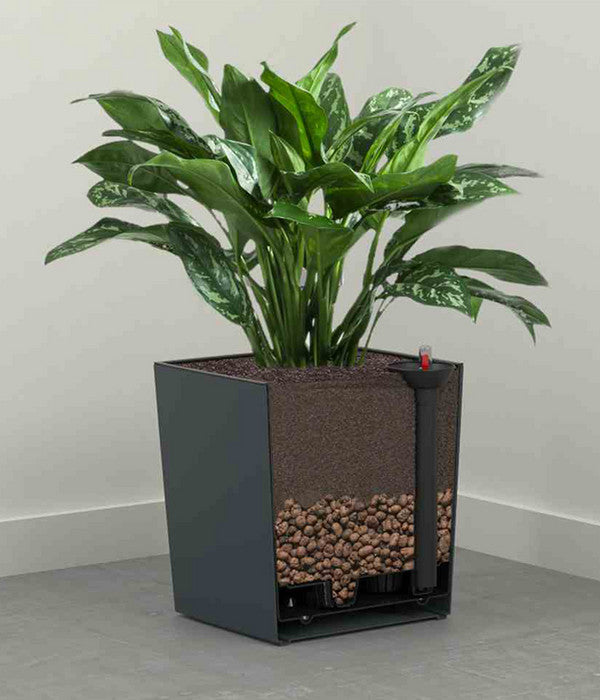  Siena Garden Kunststoff-Topf Biron, Eckig, Ca. B40/H41,5/T40 Cm