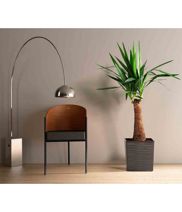  Siena Garden Kunststoff-Topf Biron, Eckig, Ca. B40/H41,5/T40 Cm