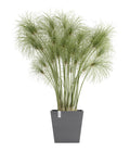  Ecopots Kunststoff-Topf Rotterdam Inkl. Wassersystem, Quadratisch