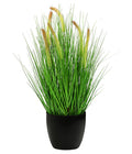  Dehner Kunstpflanze Borstenhirse, 68 Cm