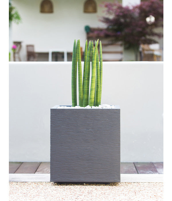  EDA-plastiques Kunststoff-Topf Graphit, Gerillt