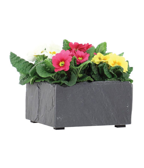  Climaqua Schiefer-Pflanzschale Bol, Rechteckig, Ca. B19/H10/T19 Cm