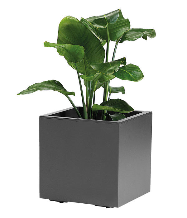  Kunststoff-Topf, Quadratisch, Ca. B40/H40/T40 Cm