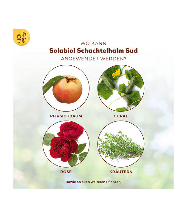  Solabiol® Schachtelhalm Sud, 1 L