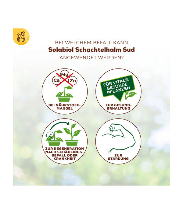  Solabiol® Schachtelhalm Sud, 1 L