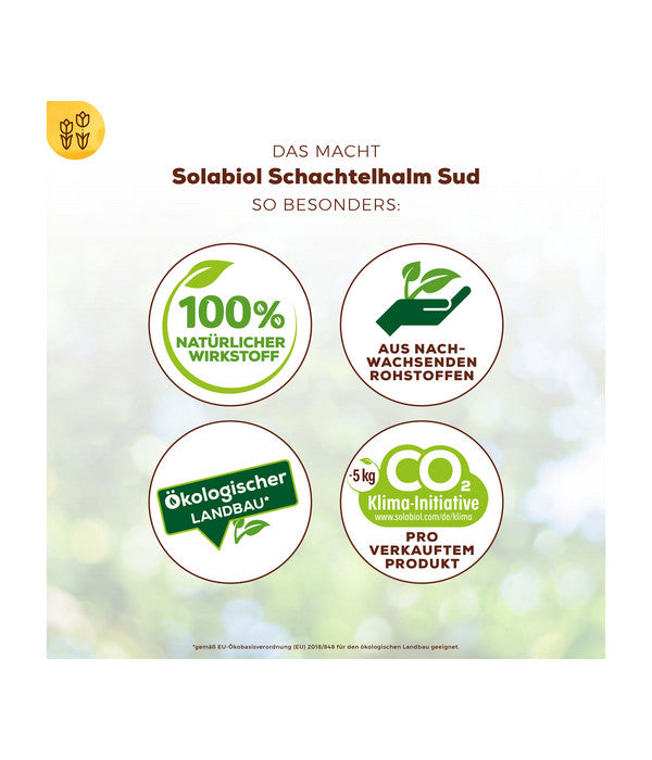  Solabiol® Schachtelhalm Sud, 1 L