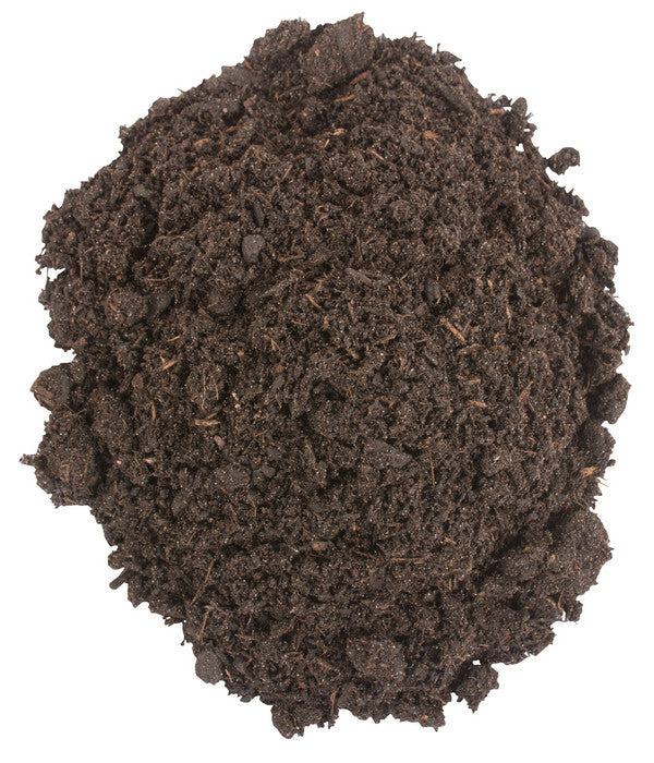 COMPO BIO Zitrus-Pflanzenerde, 10 L