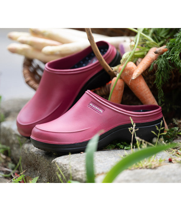  AJS Clog Mellow