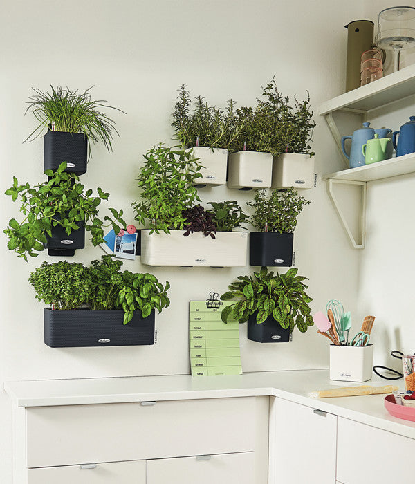  LECHUZA® CUBE Color Green Wall Home Kit, Ca. B48/H14/T15 Cm