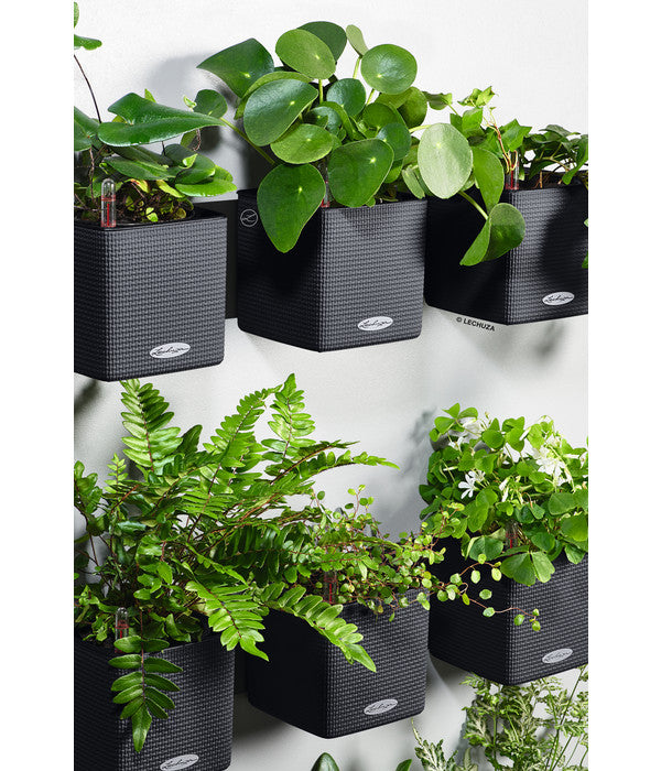  LECHUZA® CUBE Color Green Wall Home Kit, Ca. B48/H14/T15 Cm